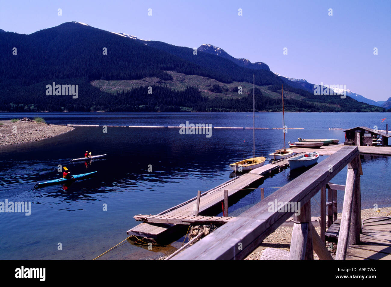 Strathcona Provincial Park, l'isola di Vancouver, BC, British Columbia, Canada - Kayak in alto lago Campbell Foto Stock