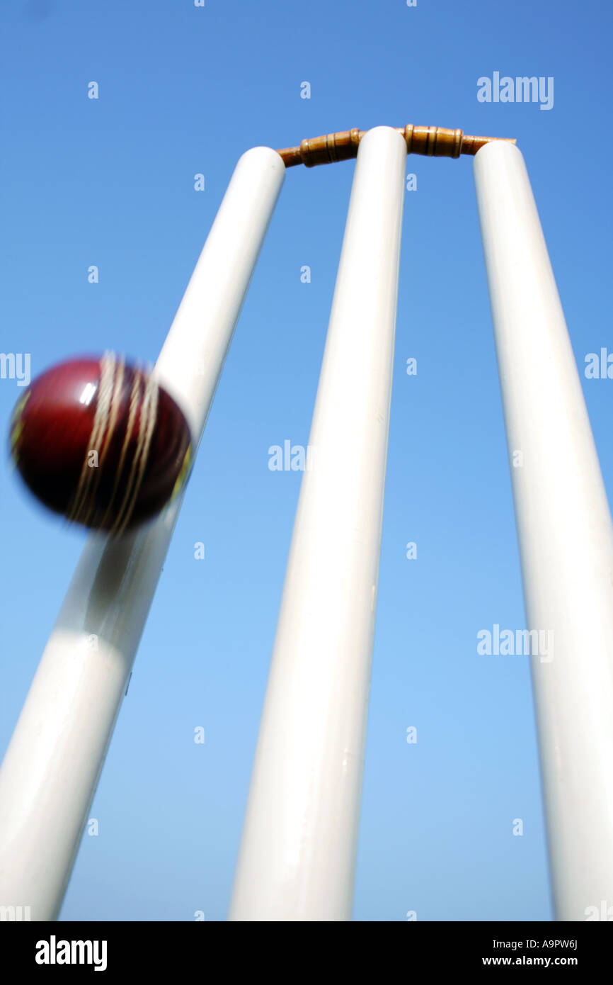 Basso angolo di visione dei monconi di cricket Foto Stock
