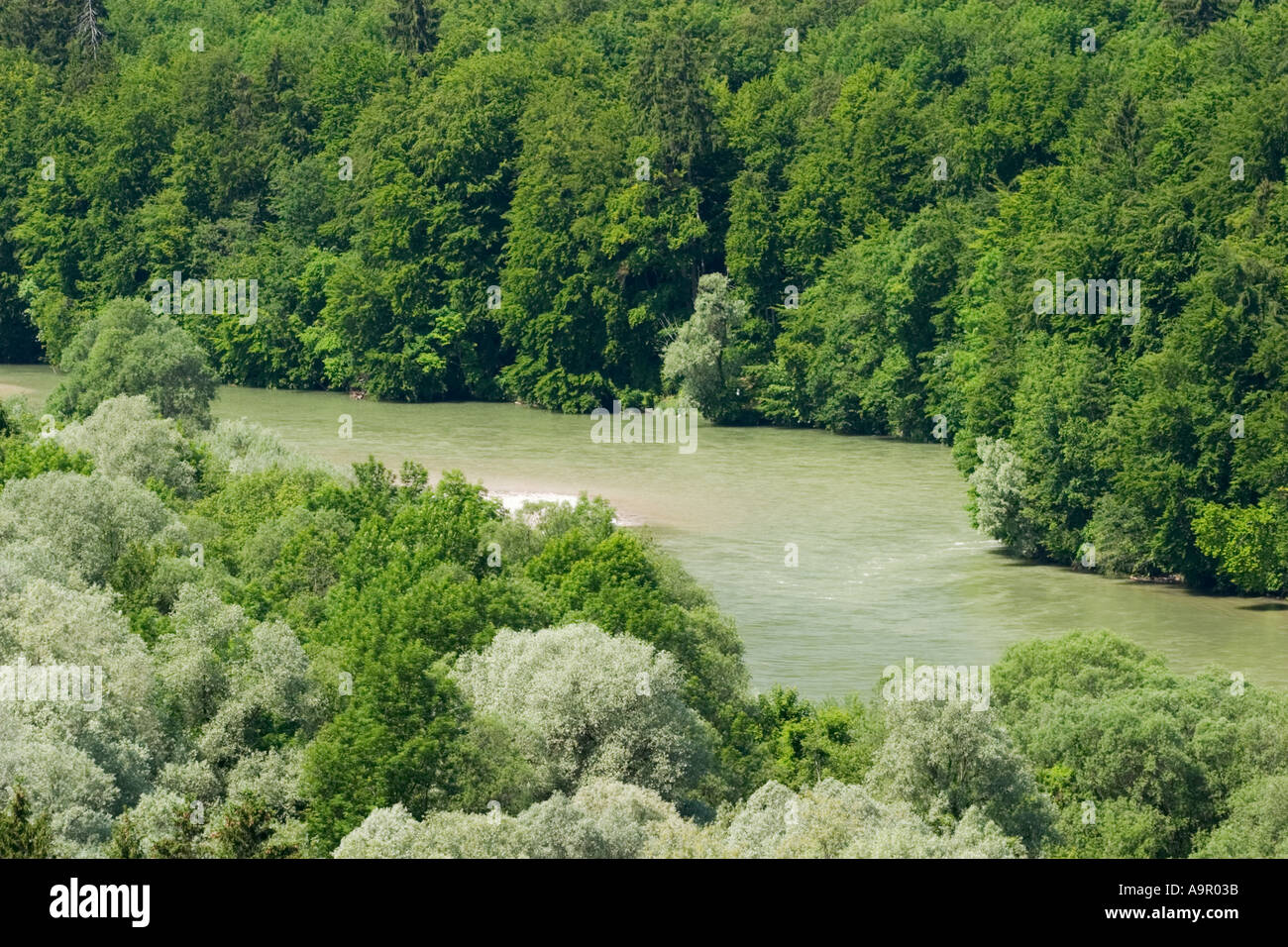 Fiume Isar vicino a Monaco di Baviera Baviera Foto Stock