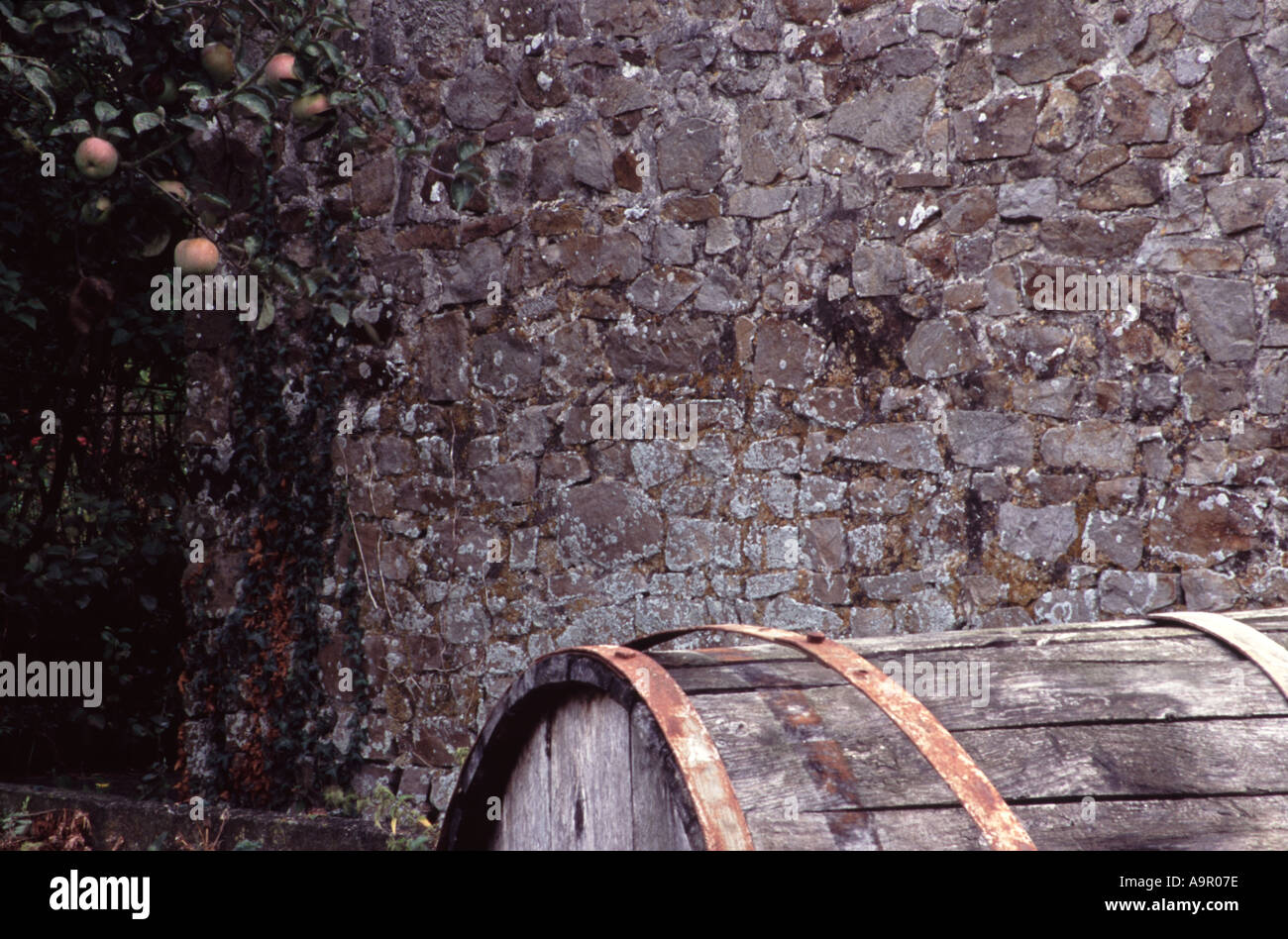 Barrell davanti al muro di pietra Normady Francia Foto Stock