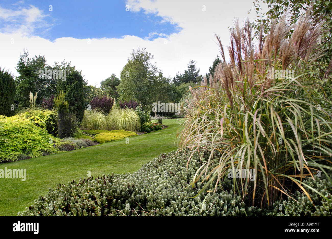 Sir Harold Hillier giardini, Ampfield, Hampshire, Inghilterra Foto Stock
