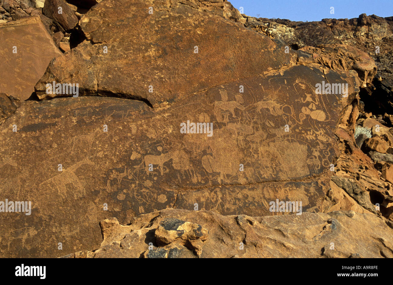 Rock incisione fatta da San persone o i Boscimani Twfelfontein Monumento Nazionale di Damaraland Namibia settentrionale Africa Foto Stock