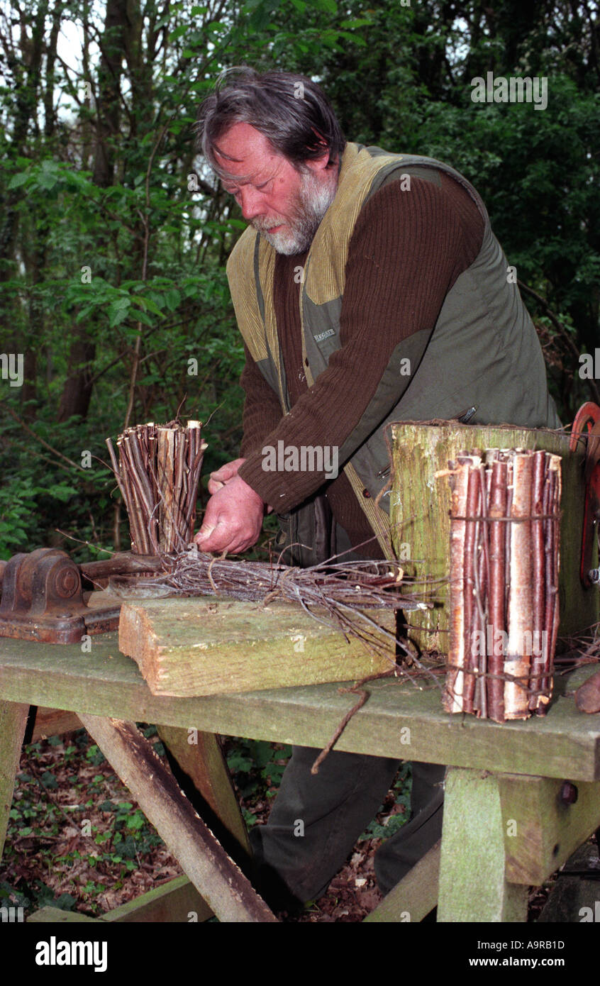 Campagna operaio facendo un vecchio ginestra, Middlesex, Regno Unito. Foto Stock