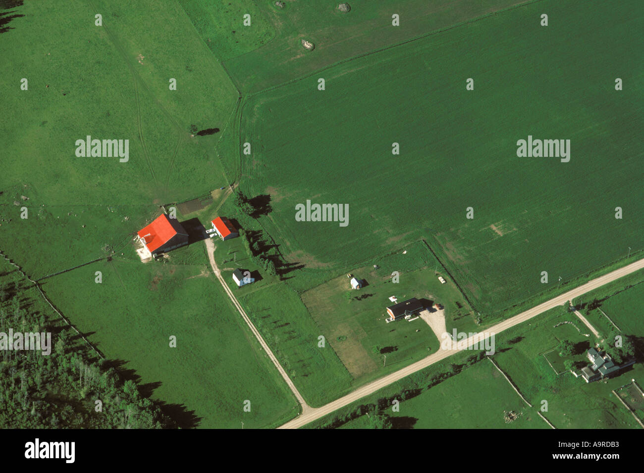 Azienda agricola sulla penisola di Bruce Ontario a nord di Toronto Foto Stock