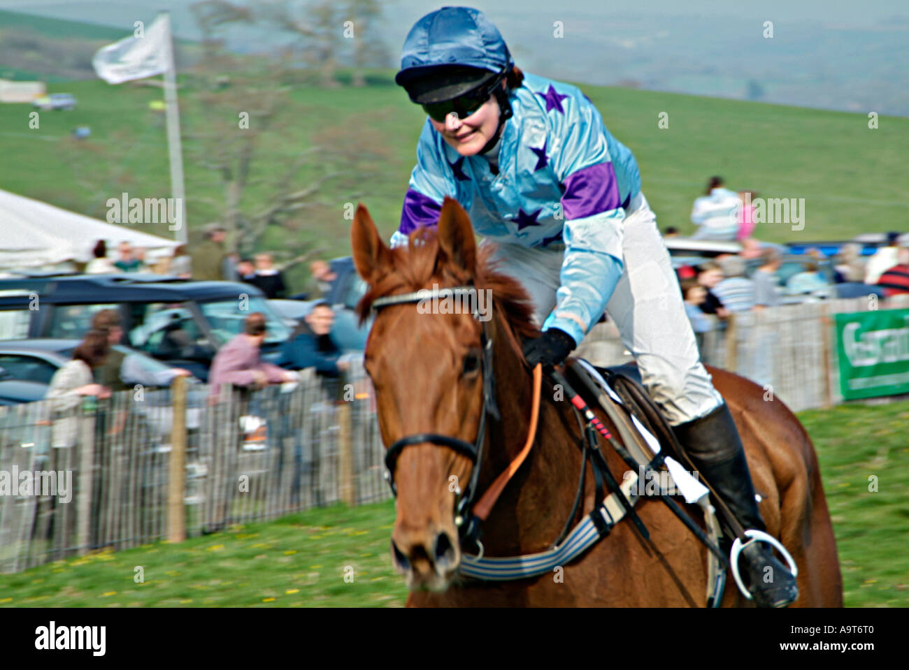 Il cavallo vincente si dirige verso il traguardo in una gara femminile in una riunione Point-to-Point su Flete Estate, Devon. REGNO UNITO Foto Stock