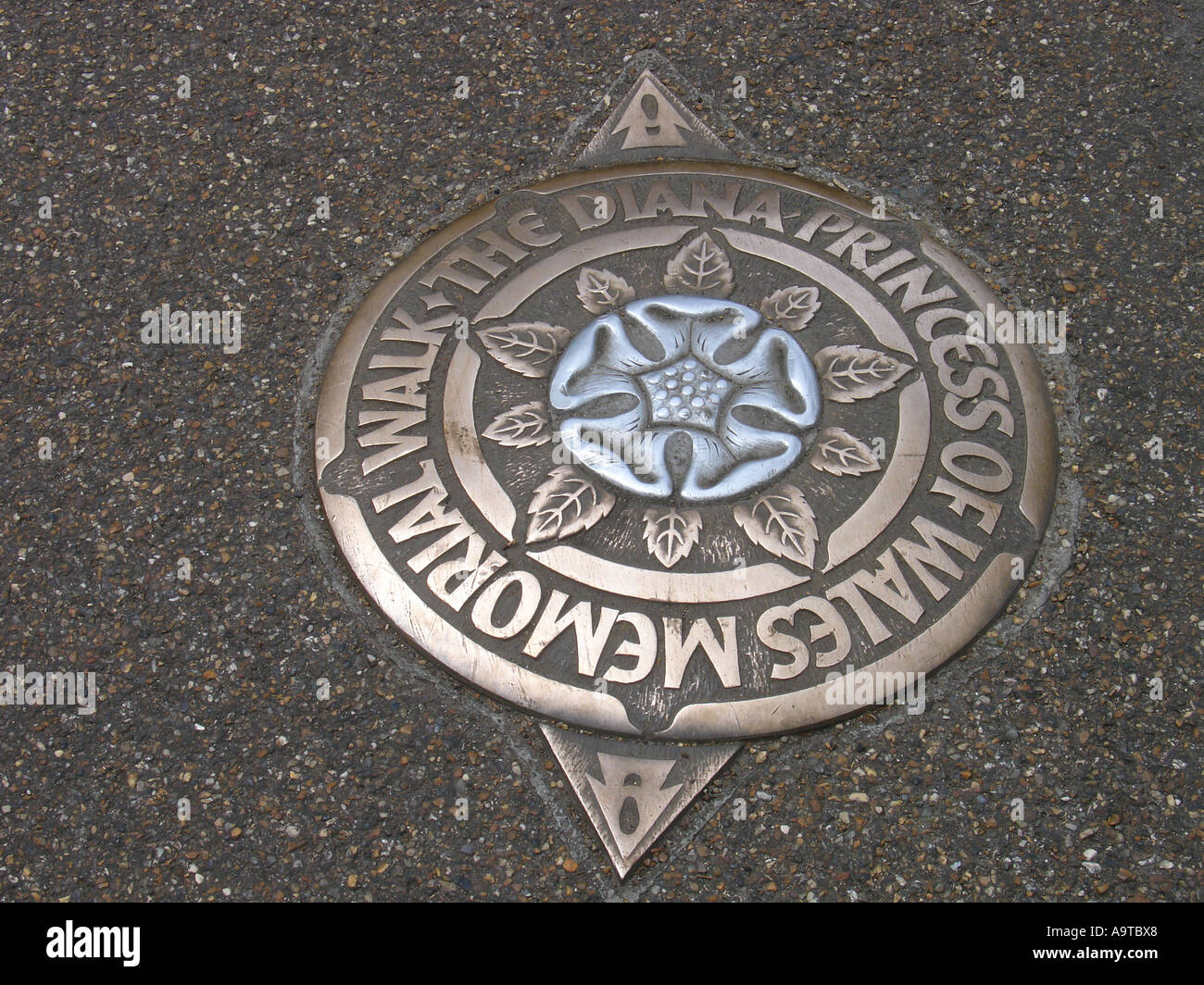Set di placca in la Principessa Diana del Galles Memorial a piedi. St James Park, Londra Inghilterra REGNO UNITO Foto Stock