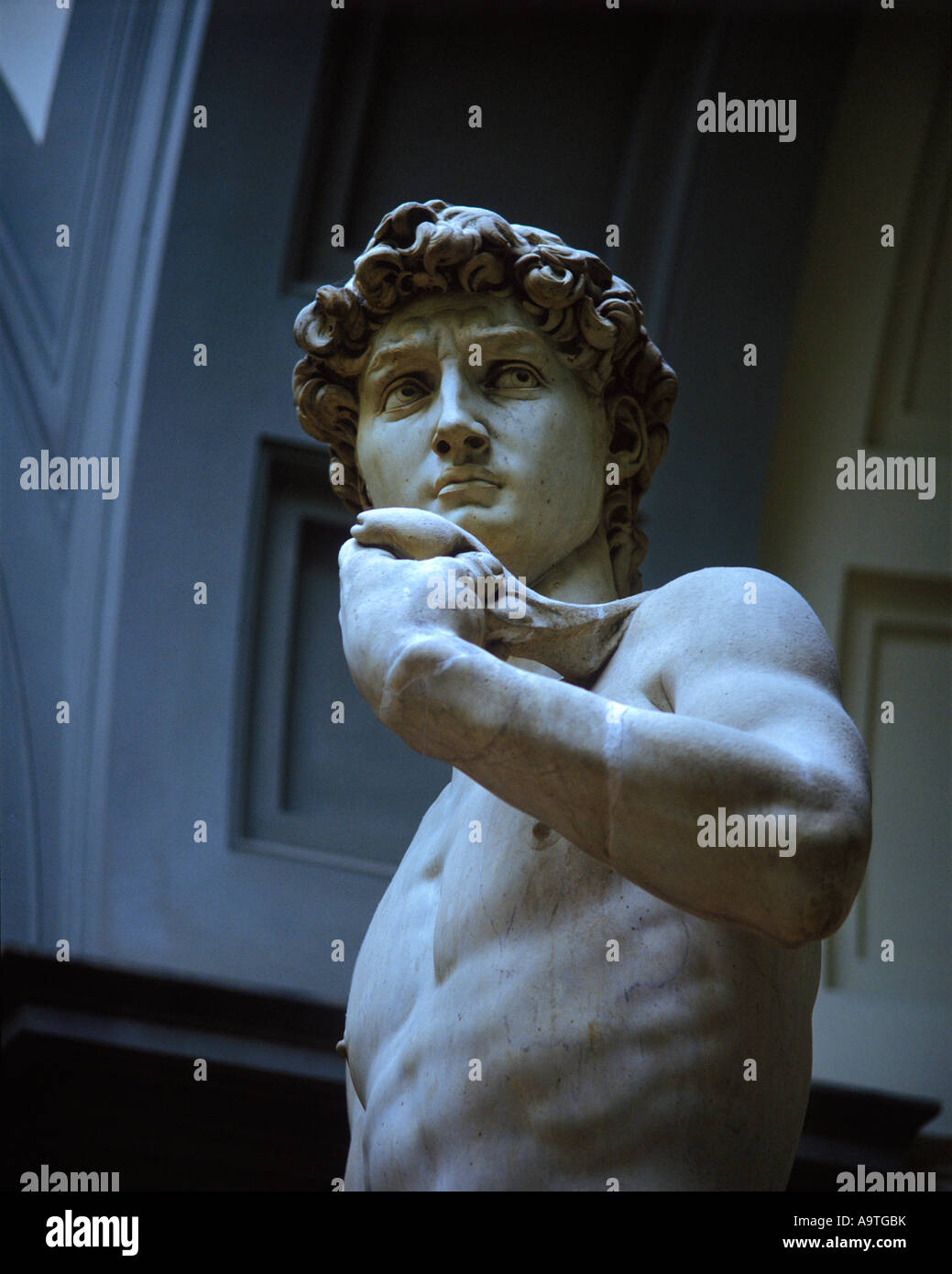 STATUA MICHELANGELO DAVID ACCADEMIA DI BELLE ARTI FIRENZE TOSCANA ITALIA Foto Stock