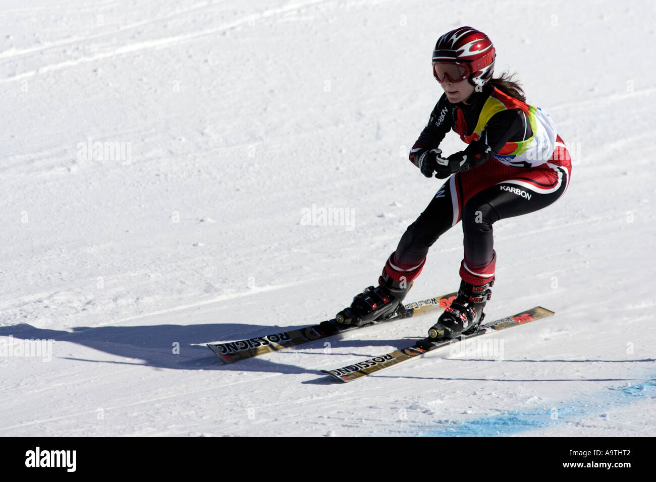 Arly Fogarty LW5/7-2 del Canada nel Womens Sci Alpino Super G la concorrenza Foto Stock