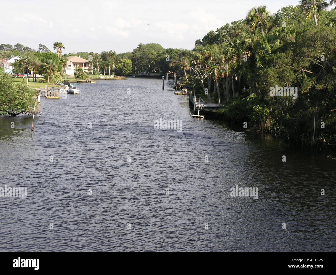 Una pacifica della Florida Centrale il fiume si snoda attraverso un paesaggio subtropicale Foto Stock