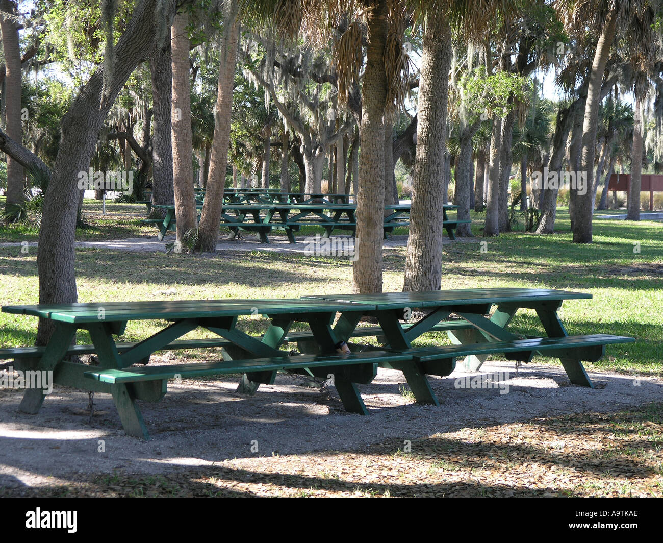 Un ombroso estate picnic nel parco Philippee lungo Tampa Bay nei pressi del porto di sicurezza Florida Foto Stock