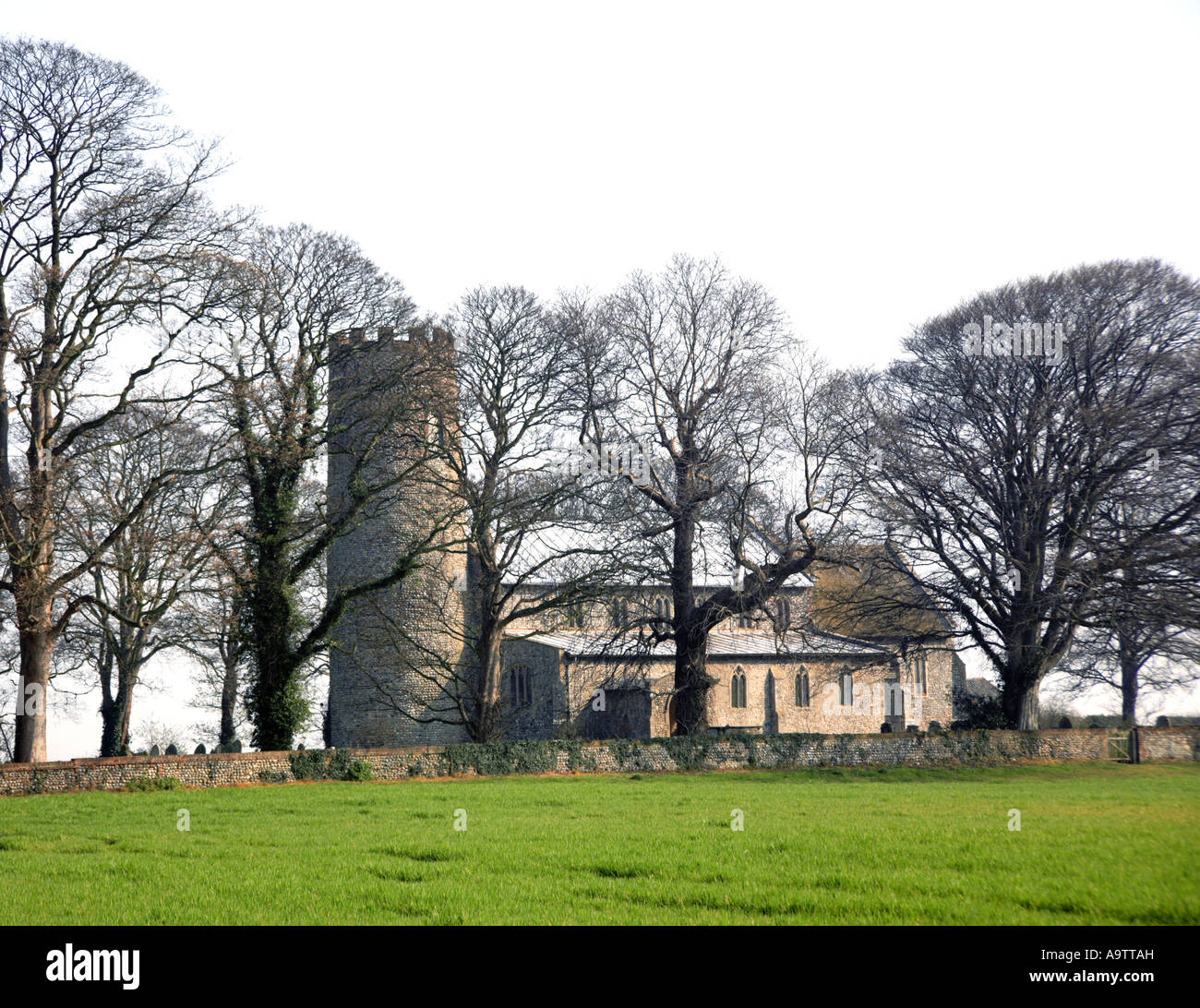 Una vista della chiesa parrocchiale di Santa Margherita a Witton, vicino a North Walsham, Norfolk, Inghilterra, Regno Unito, Europa. Foto Stock