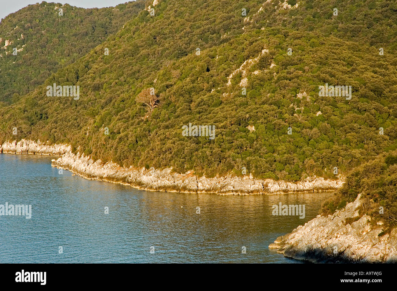 Vista panoramica della costa rocciosa linea nell isola di Lastovo, Croazia. Foto Stock