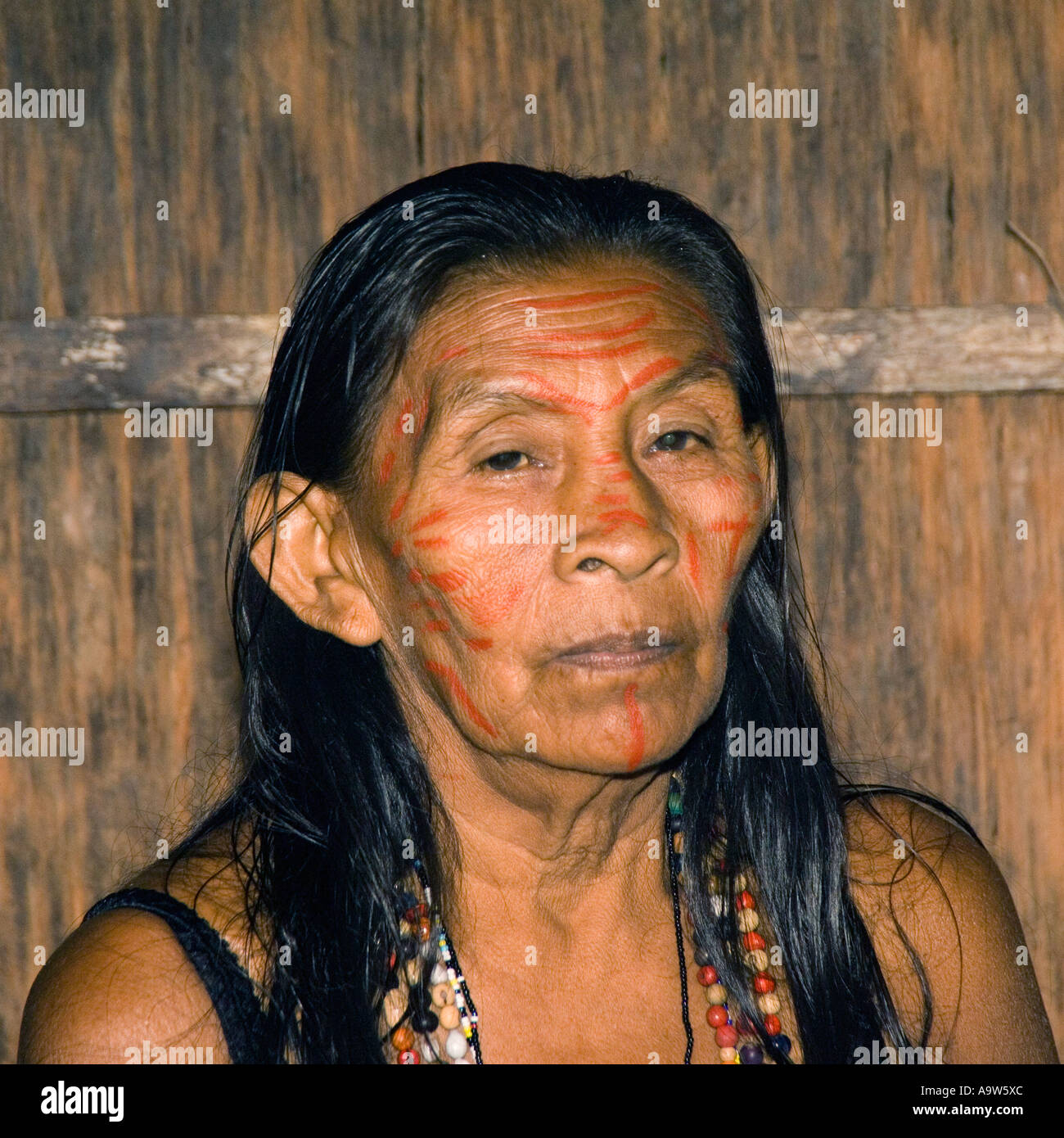 Donna indiana dalla tribù Dessanos Rio Taruma Amazon membro Brasile Foto  stock - Alamy