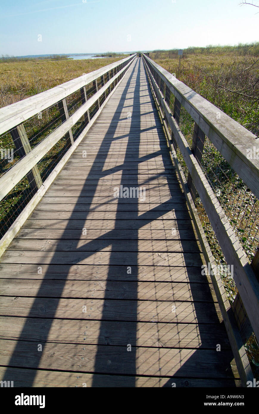 William Bartram Trail Foto Stock