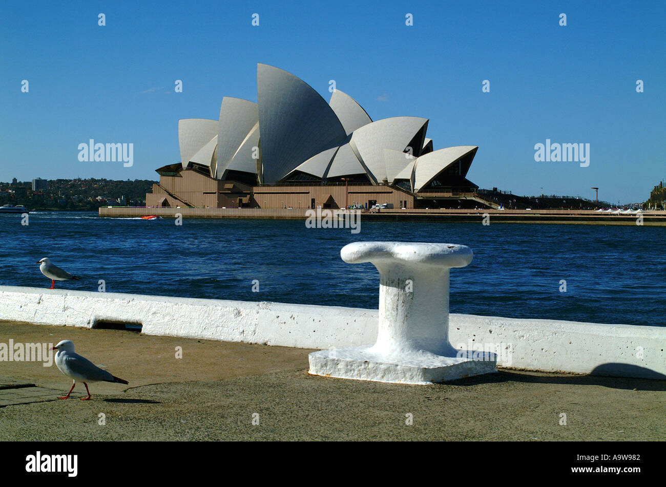 Sydney Opera House, con il blu del cielo e del mare, di fronte la baia di docking Foto Stock