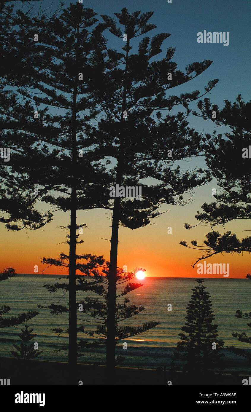 Alba sul faggio Manly, North Shore Sydney Foto Stock