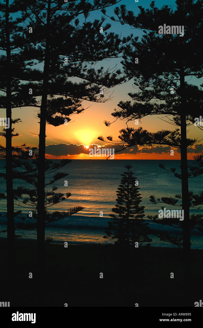 Sun rise in faggio Manly, North Shore Sydney Foto Stock