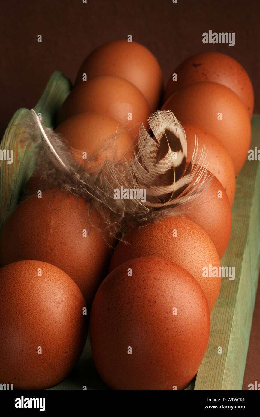 Una dozzina di marrone a uova di galline e una piuma Foto Stock