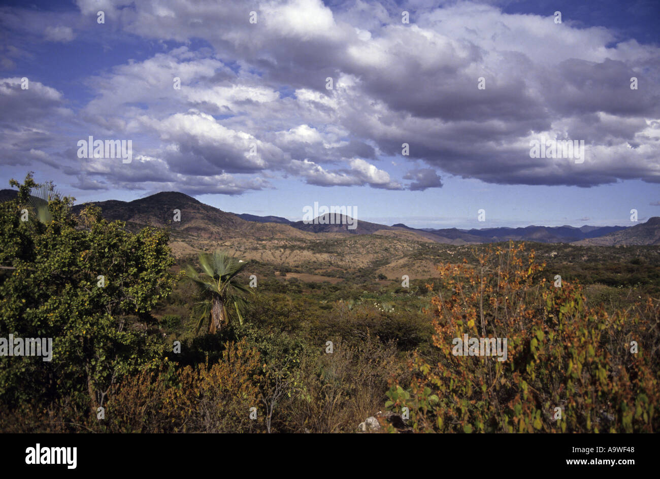 La campagna e la gamma della montagna in stato di Oaxaca, Messico, Sud America Foto Stock