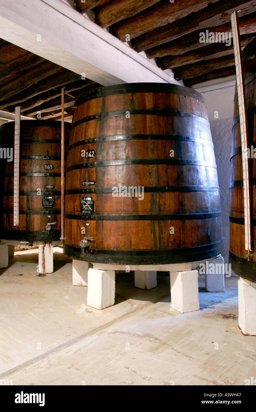Grandi vasche contenenti il vino di Porto nelle cantine Offley Porto Portogallo Foto Stock