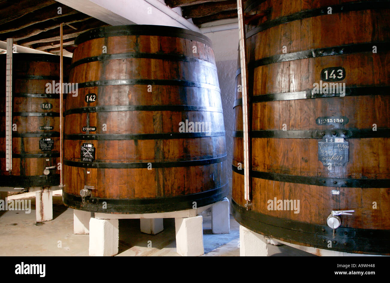 Grandi vasche contenenti il vino di Porto nelle cantine Offley Porto Portogallo Foto Stock