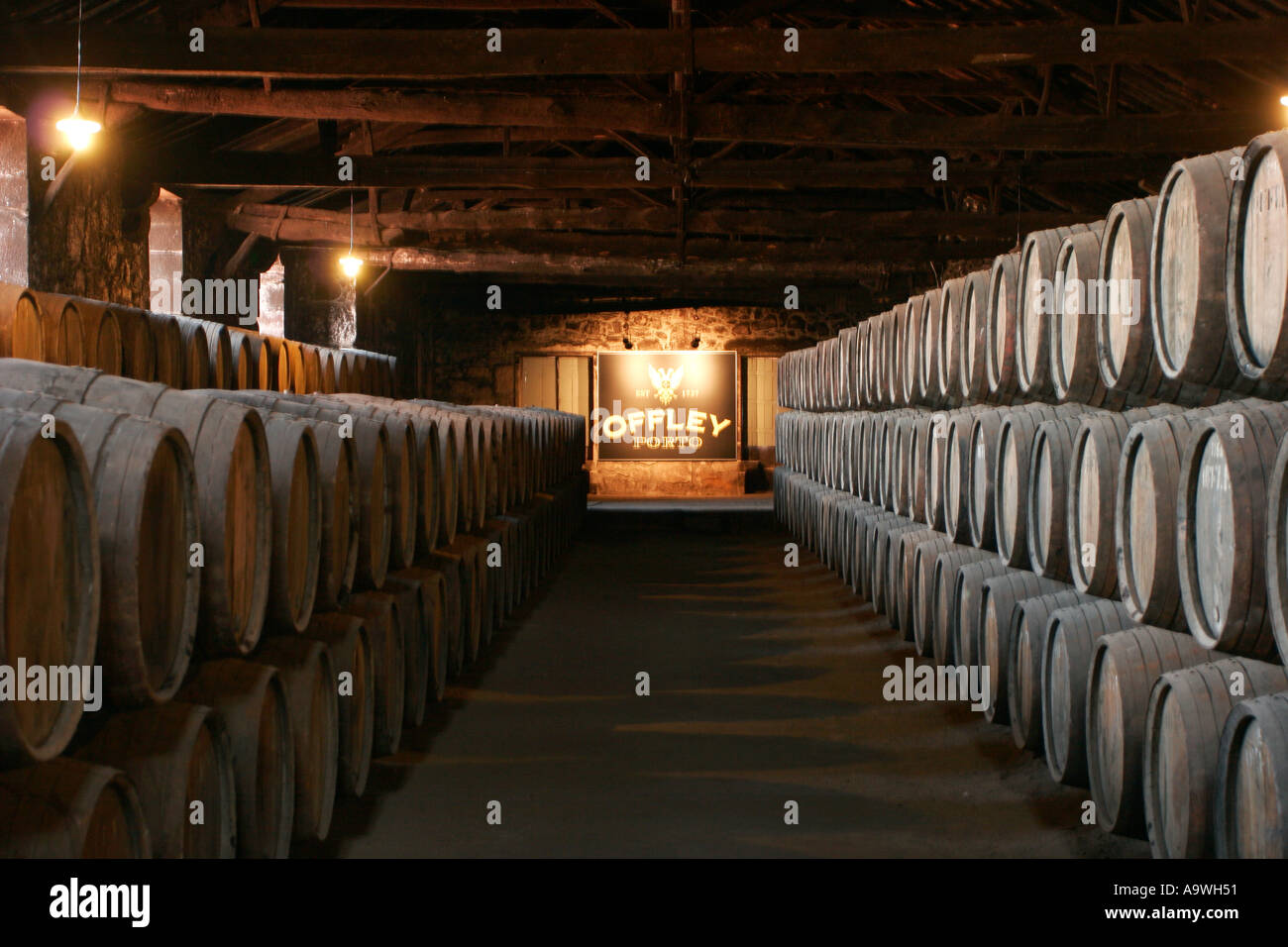 Barili di vino di porto la stagionatura in cantine Offley Porto Portogallo Foto Stock