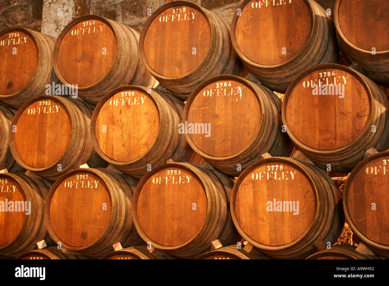 Barili di vino di porto la stagionatura in cantine Offley Porto Portogallo Foto Stock