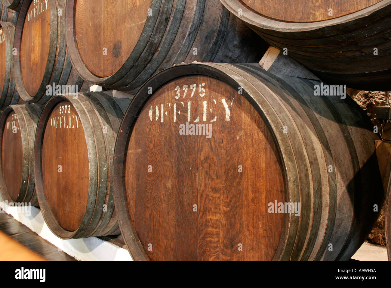 Barili di vino di porto la stagionatura in cantine Offley Porto Portogallo Foto Stock