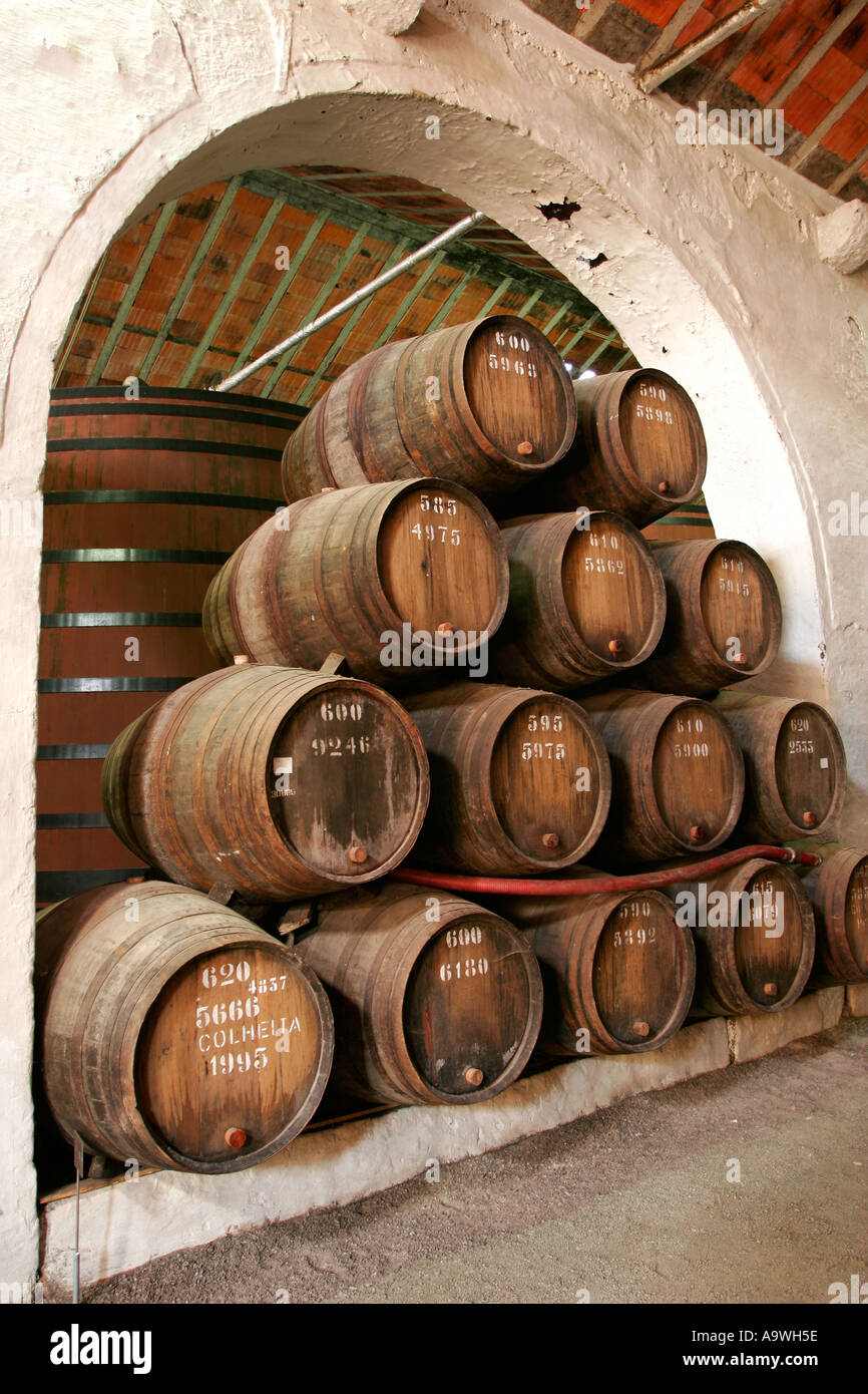 Barili di vino di porto la stagionatura in cantine di Croft Porto Portogallo Foto Stock
