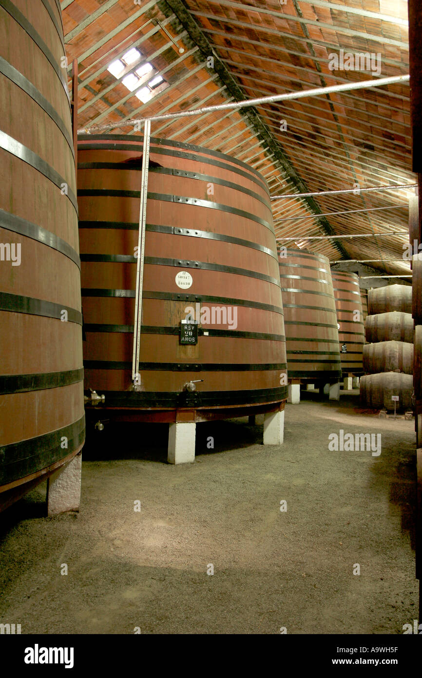 Tini di vino di porto la stagionatura in cantine di Croft Porto Portogallo Foto Stock