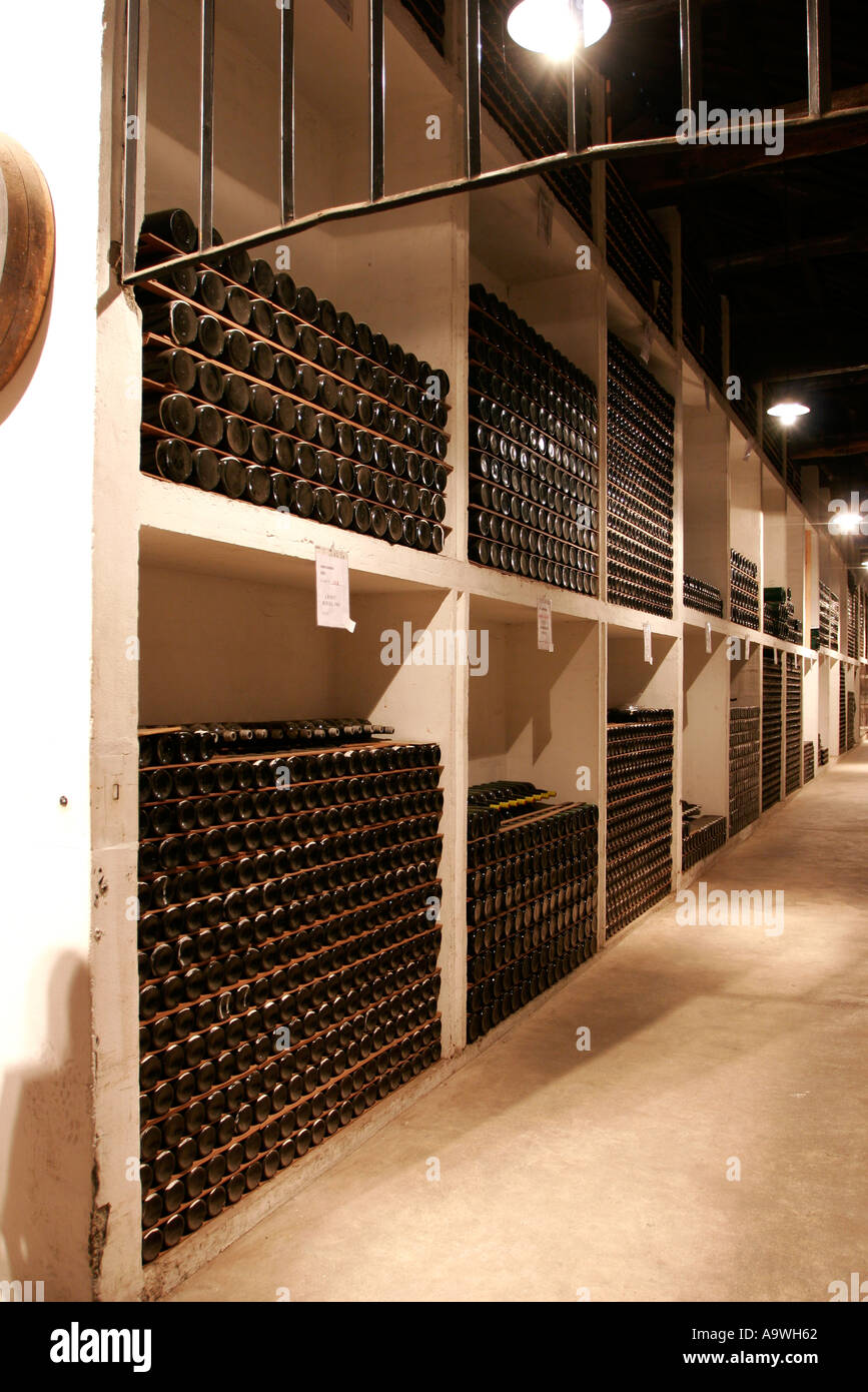 Bottiglie di vino di porto la stagionatura in cantine di Croft Porto Portogallo Foto Stock