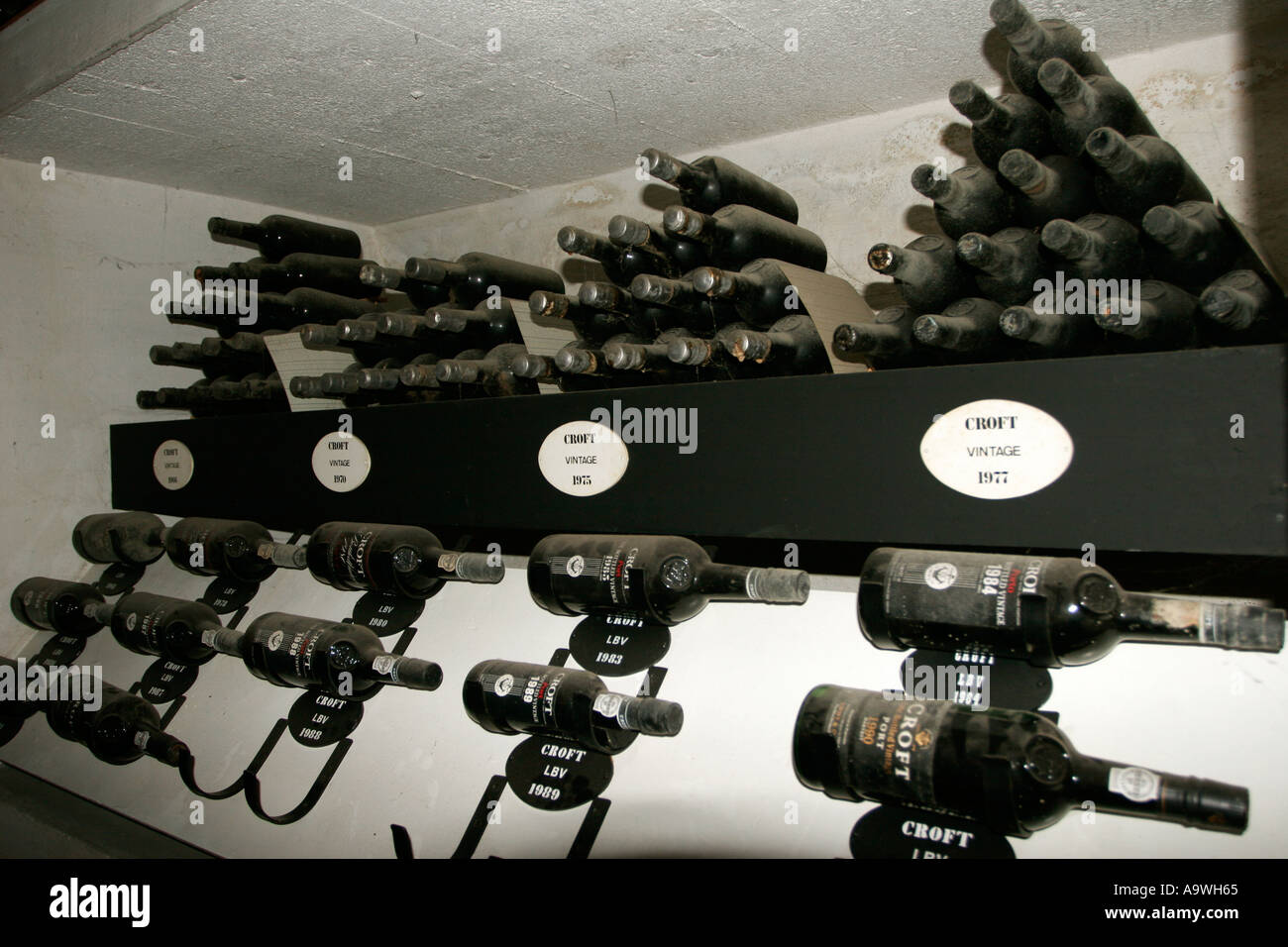 Bottiglie di Porto Vintage vino la stagionatura in cantine di Croft Porto Portogallo Foto Stock
