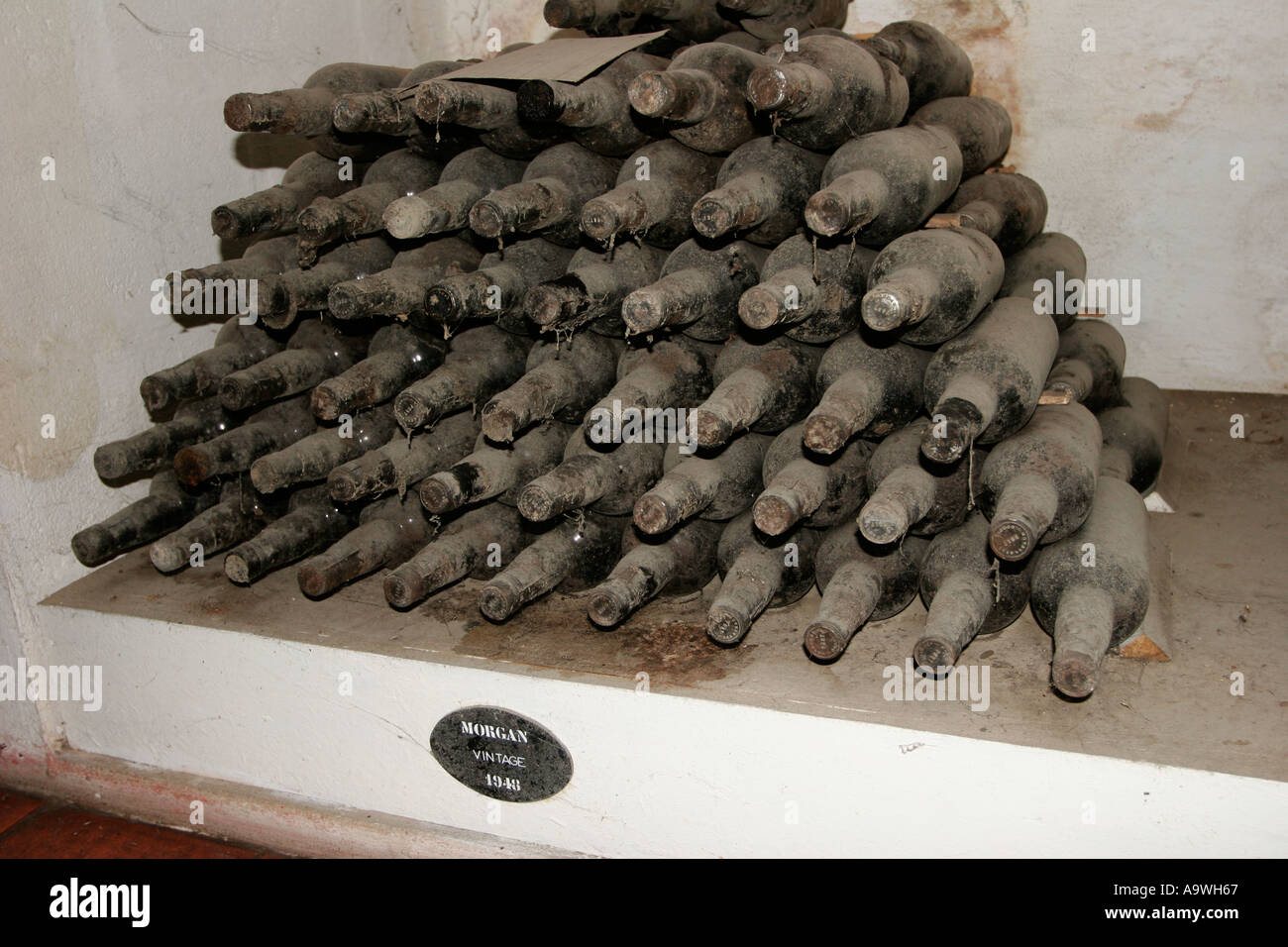 Bottiglie di Porto Vintage vino la stagionatura in cantine di Croft Porto Portogallo Foto Stock