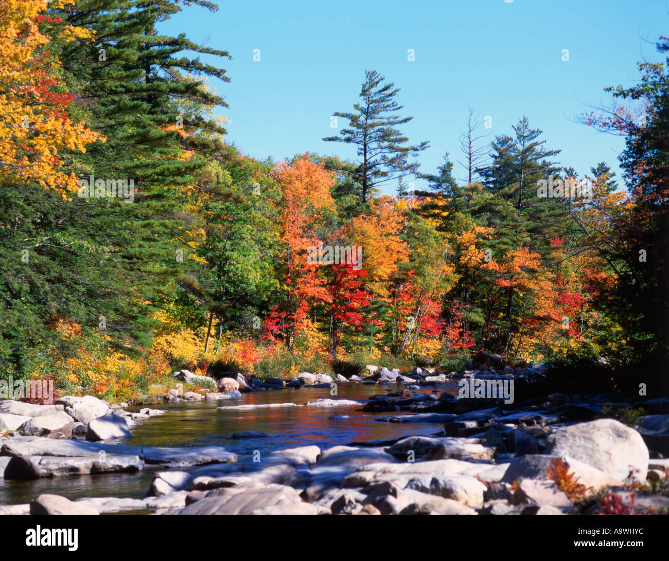 Ricca di colori autunnali a fianco di un fiume poco profondo Foto Stock
