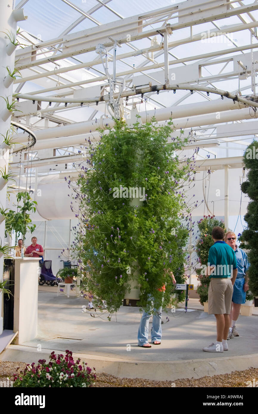 La NASA colture sperimentali, Epcot Center, Orlando, Florida Foto Stock