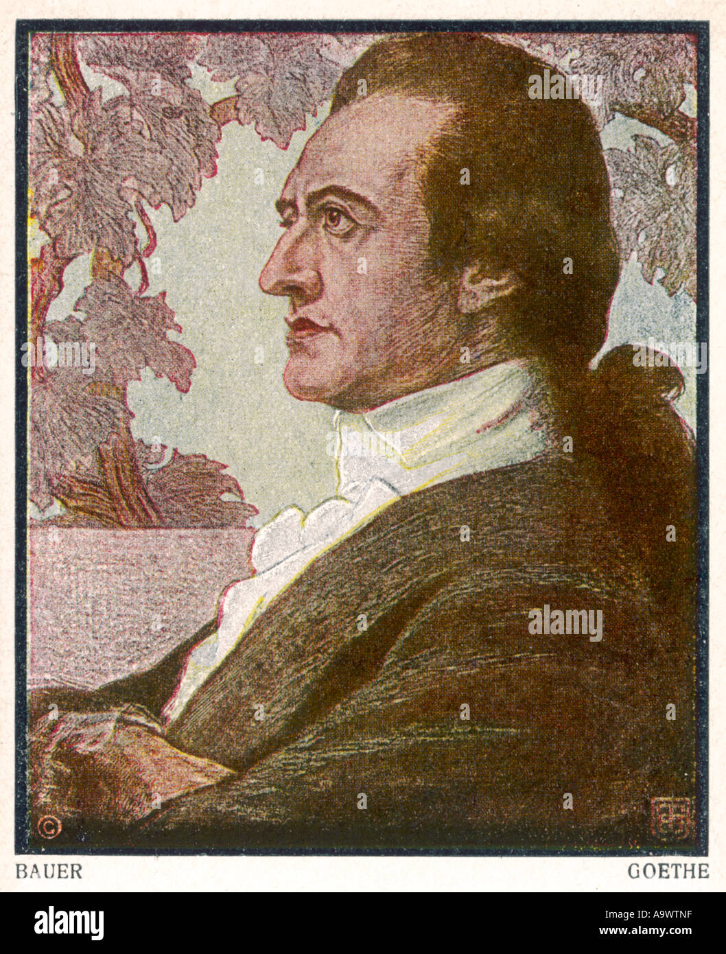 Johann von Goethe Foto Stock