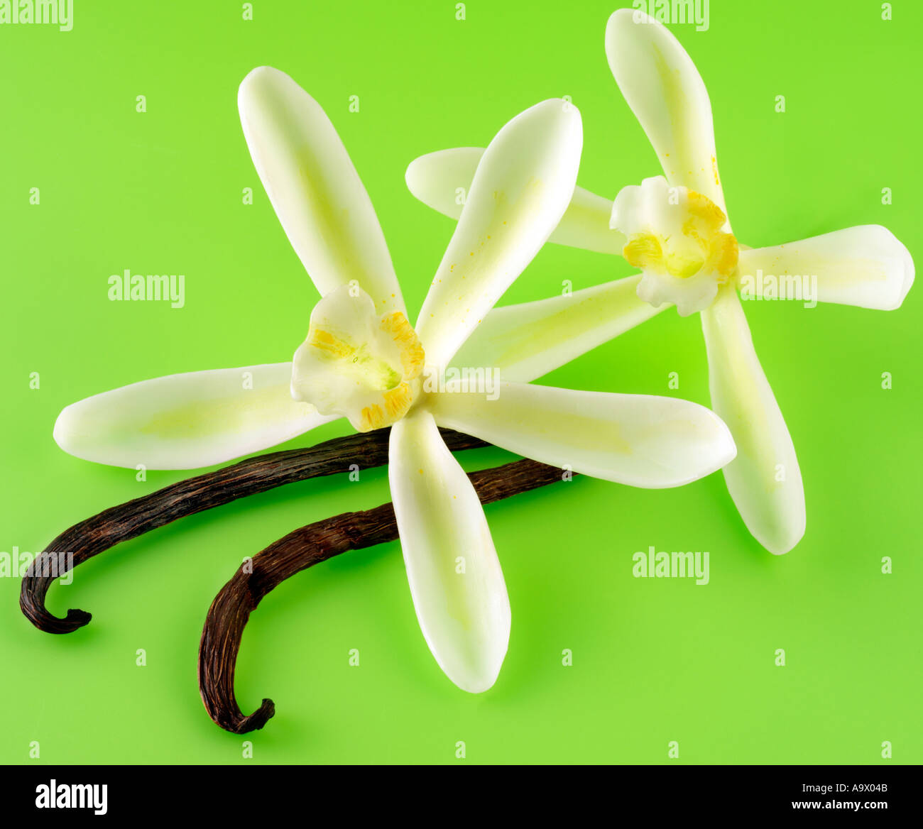 Due fiori di vaniglia e pods Foto Stock