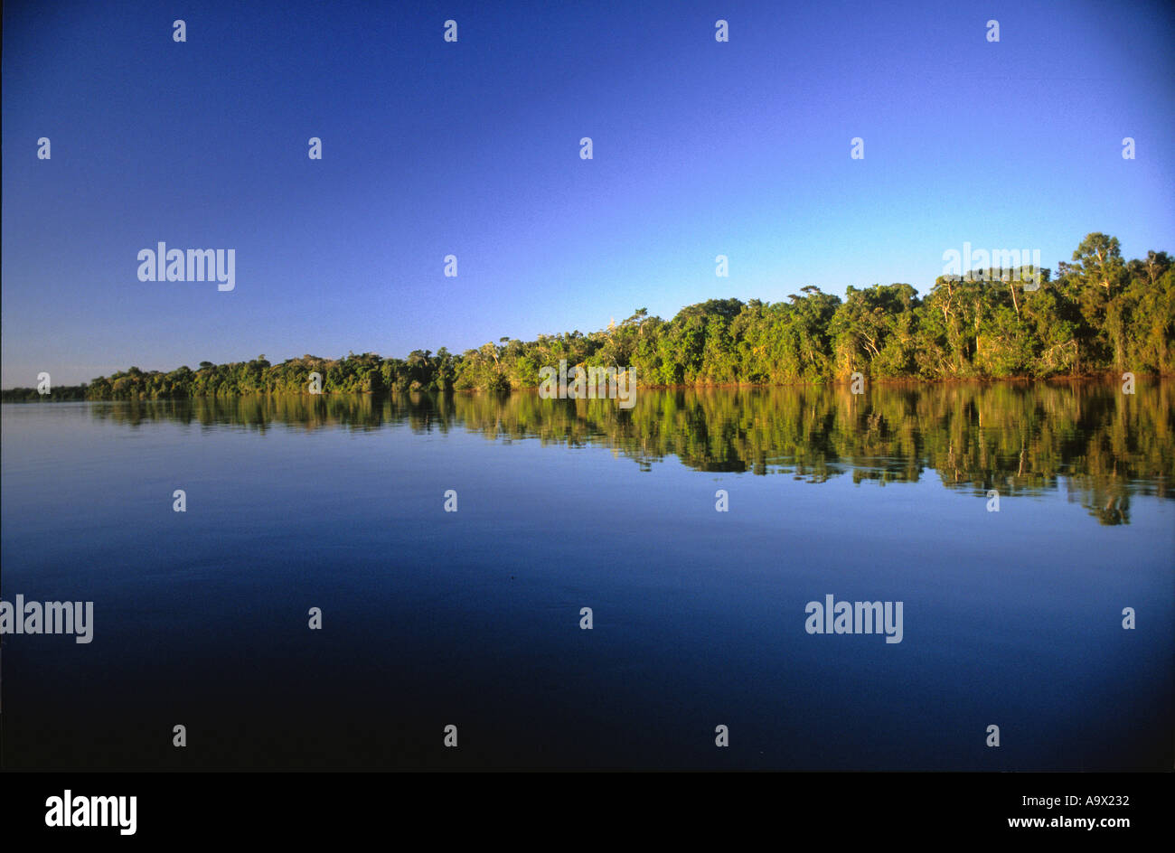 Juruena, Brasile. Boscoso banca di fiume riflessi nell'acqua senza nuvole nel cielo. Foto Stock