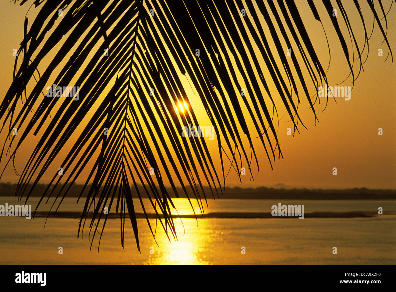 Il Brasile. Tramonto; cielo e acqua rame rosso al tramonto; di foglie di palma in primo piano. Foto Stock