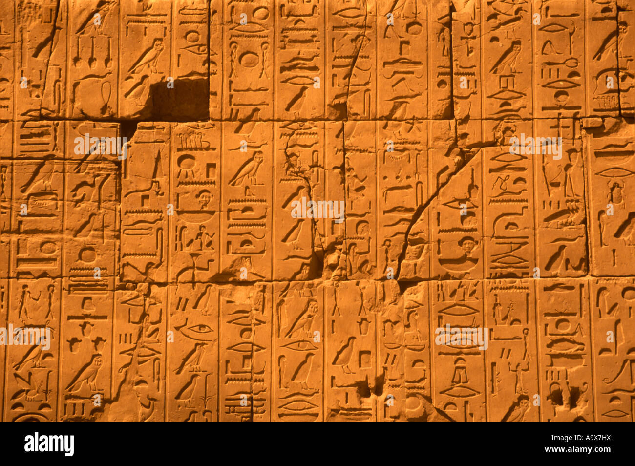 Dettaglio del murale di geroglifici TEMPIO DI AMUN Karnak Luxor rovine Egitto Foto Stock