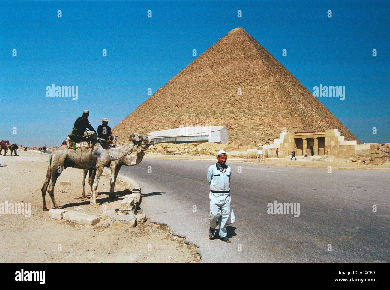 Polizia turistica sui cammelli davanti alla piramide di Cheope in Giza Cairo Egitto Foto Stock