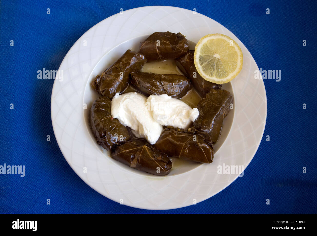 Cucina greca Dolmades fresche foglie di vite con yogurt Foto Stock