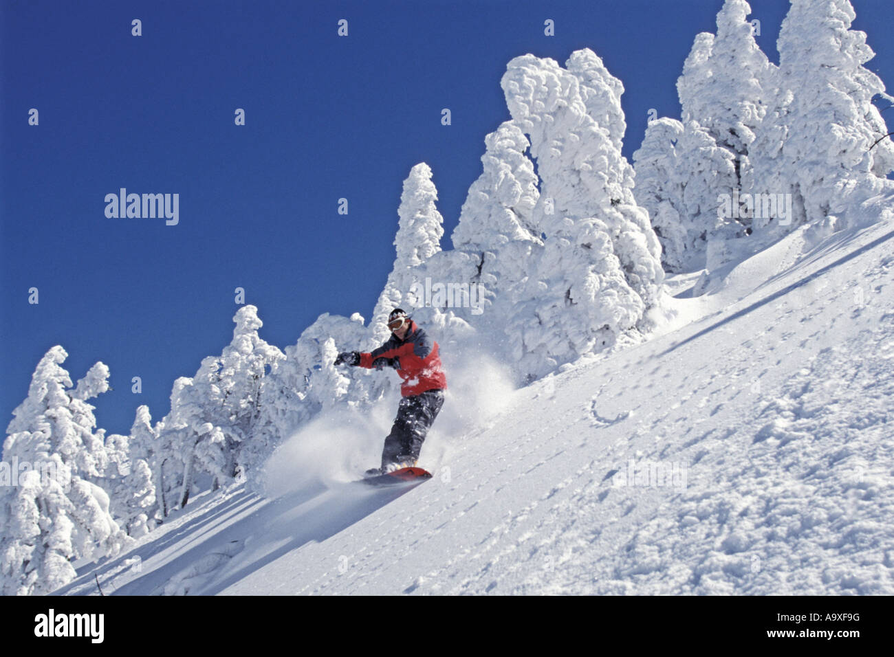 Snowboarder, Austria, Alpi Foto Stock