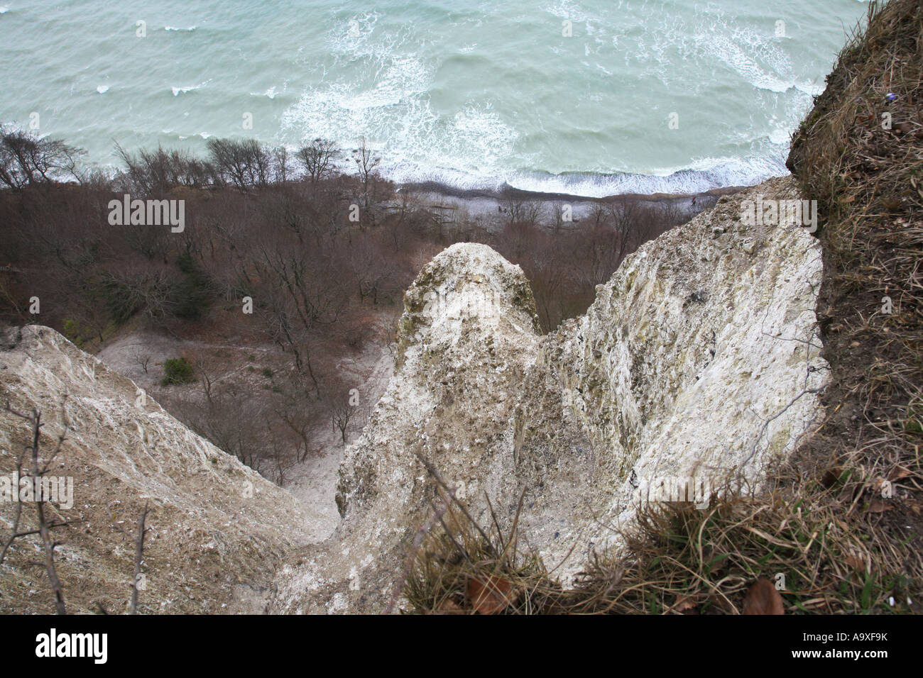 Chalk rocks, chalk cliff, Germania, Insel Ruegen, NP Jasmund Foto Stock