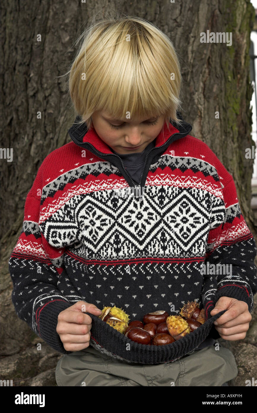 Comune di ippocastano (Aesculus hippocastanum), ragazzo la raccolta di frutti maturi in autunno Foto Stock