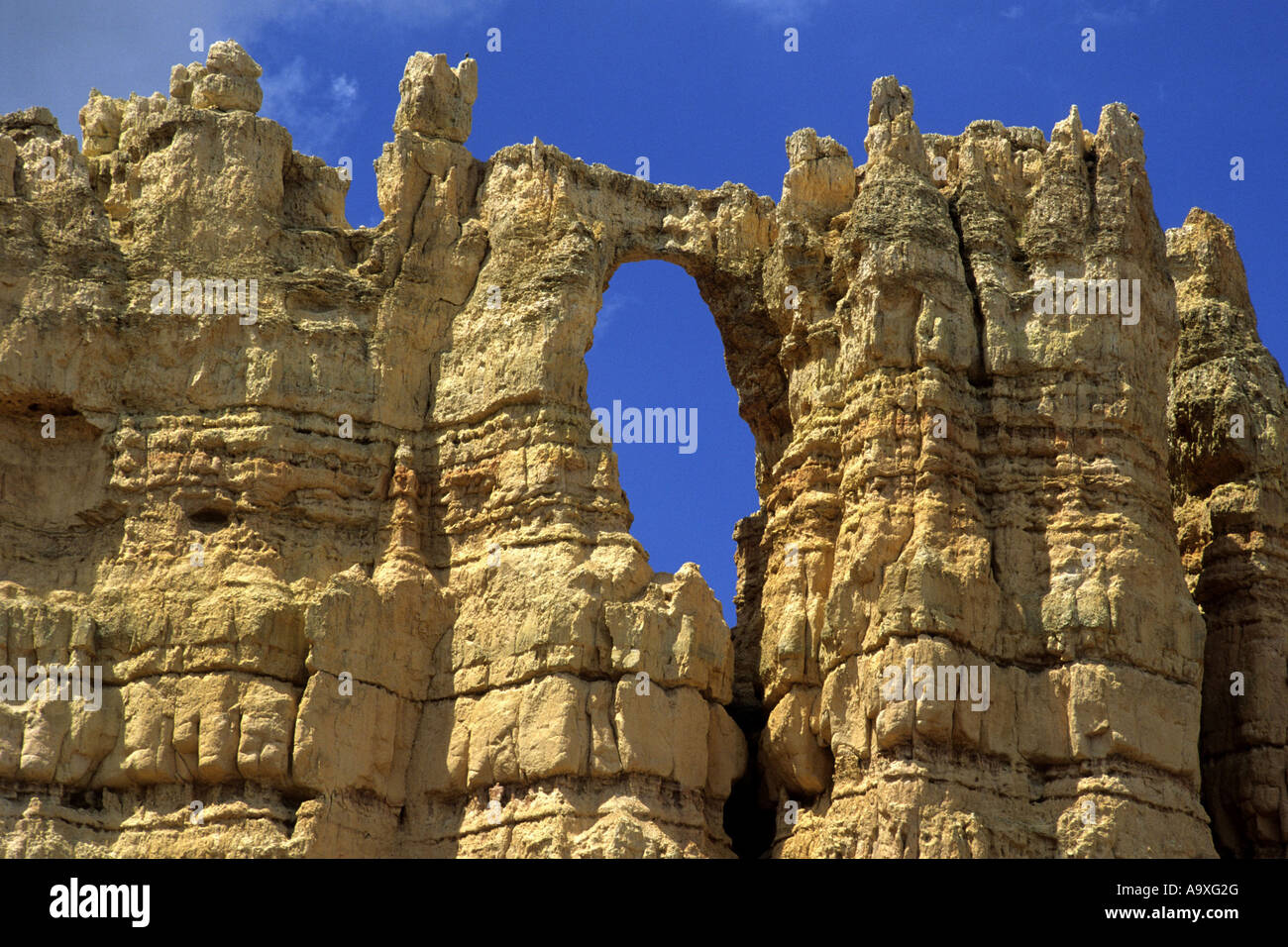 Finestra di roccia nel Parco Nazionale di Bryce Canyon, STATI UNITI D'AMERICA, Utah Foto Stock