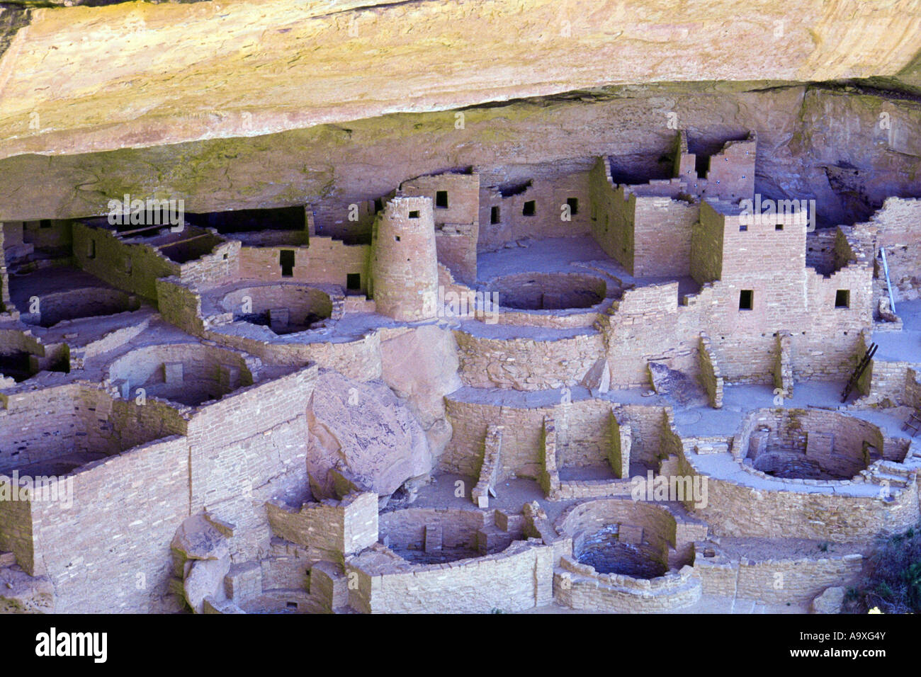 Cliff Palace - pit case del popolo Anasazi, STATI UNITI D'AMERICA, Colorado, Mesa Verde NP Foto Stock