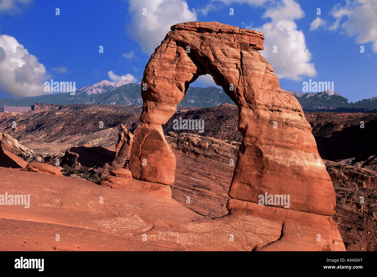 Lato ovest del delicato Arche, USA Utah, archi NP Foto Stock