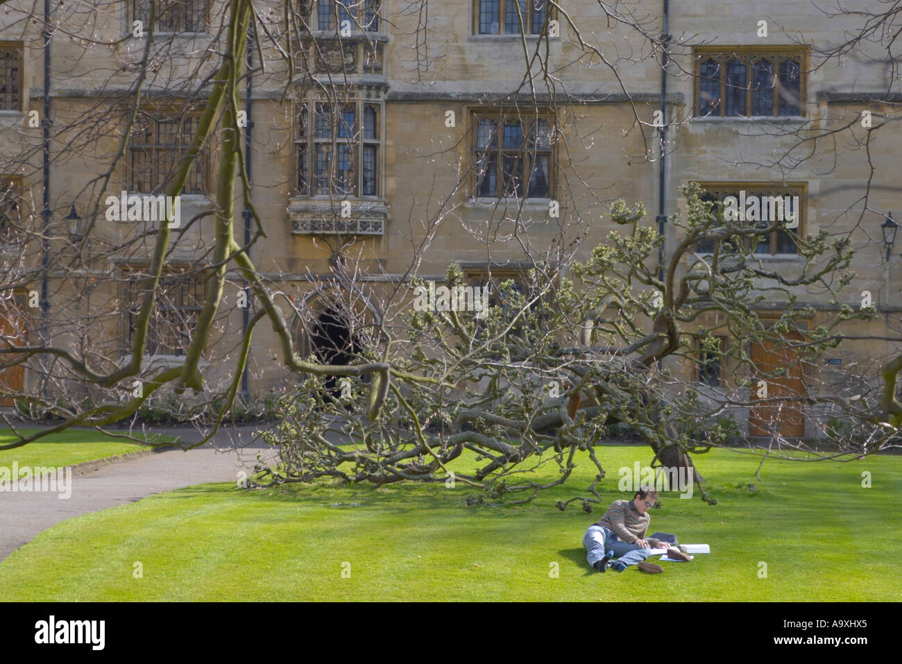 Università di Cambridge uno studente sul prato fuori il Kings College sale del residence Foto Stock
