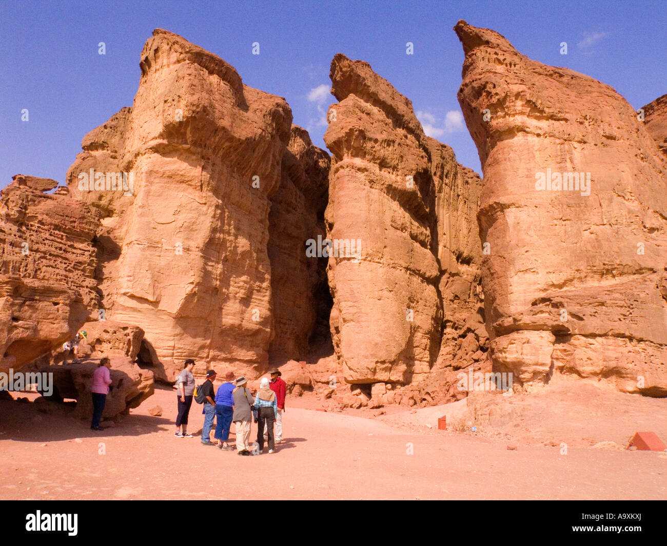 Di timna riserva naturale park israele scarpata rocciosa Foto Stock